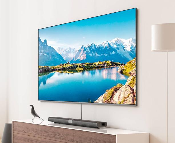 55寸电视机哪个品牌好性价比高（55寸电视机的标准尺寸是多少）