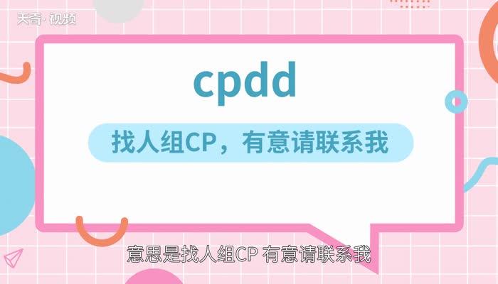 cpdd是什么意思网络用语（CPDD是什么意思）